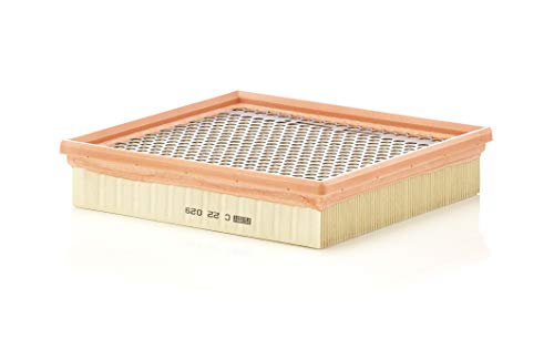 Mann-Filter C 22 029 Filtro Aria