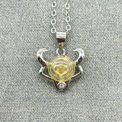 Sterling Silver Zodiac Aroma Necklace - Taurus April - May | Perfect Birthday Gift | Energy & Healing | Diffuse on the go