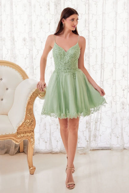 Short A-Line Lace & Tulle Dress-7